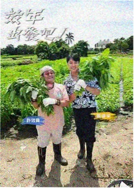白藻疗愈所观察员周然的标本卡封面